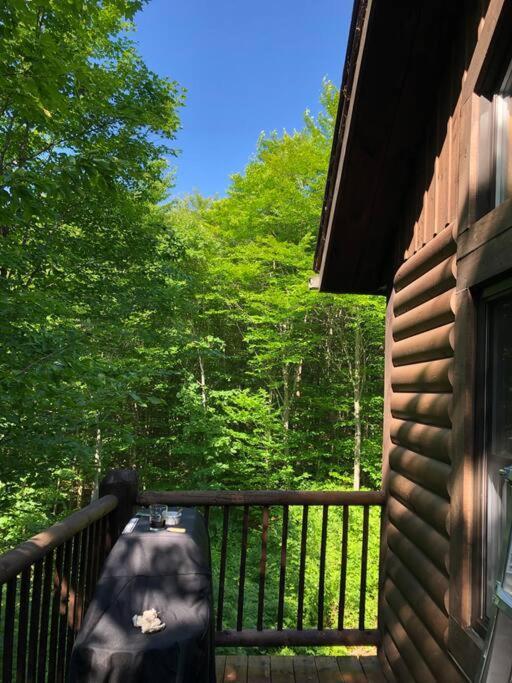 Quiet, Cozy And Comfortable Chalet Val-des-Lacs Экстерьер фото